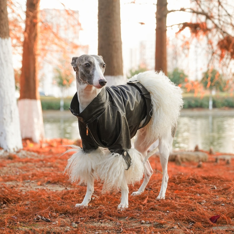 Velvet Edge Fur Leather Pet Coat