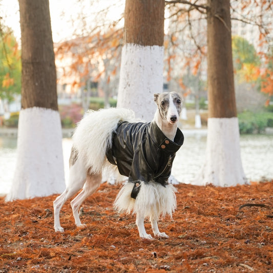Velvet Edge Fur Leather Pet Coat