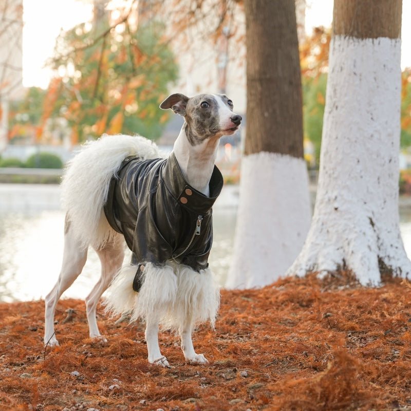 Velvet Edge Fur Leather Pet Coat