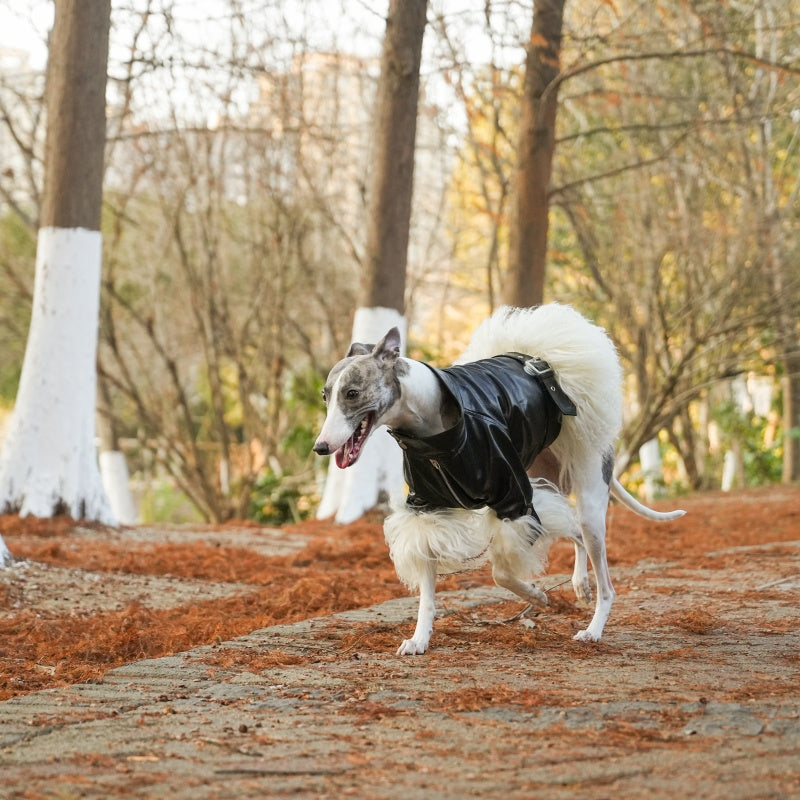 Velvet Edge Fur Leather Pet Coat