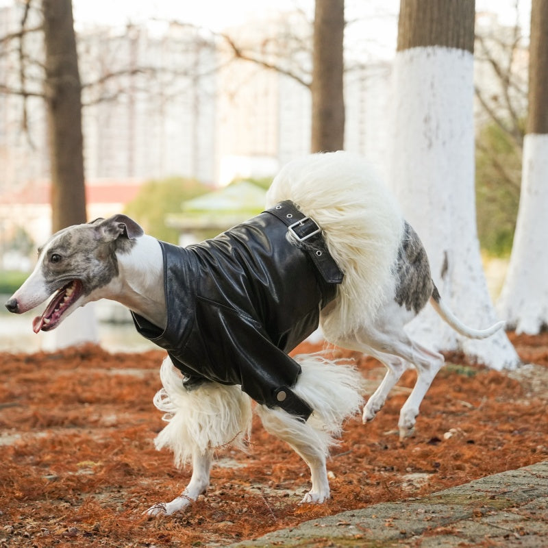 Velvet Edge Fur Leather Pet Coat